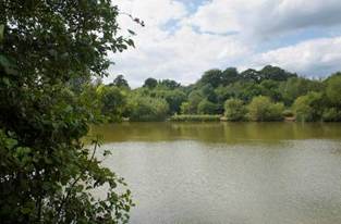 A body of water with trees around it