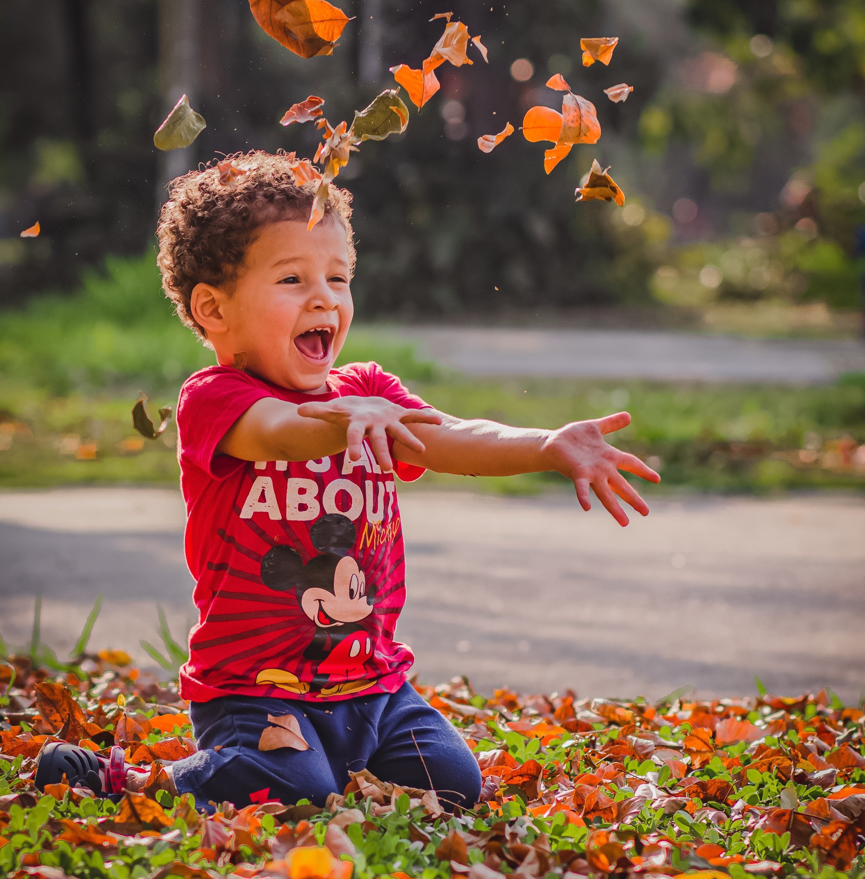 Happy young boy playing with leaves