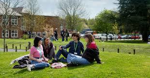 Brockenhurst College (@brockcollege ...